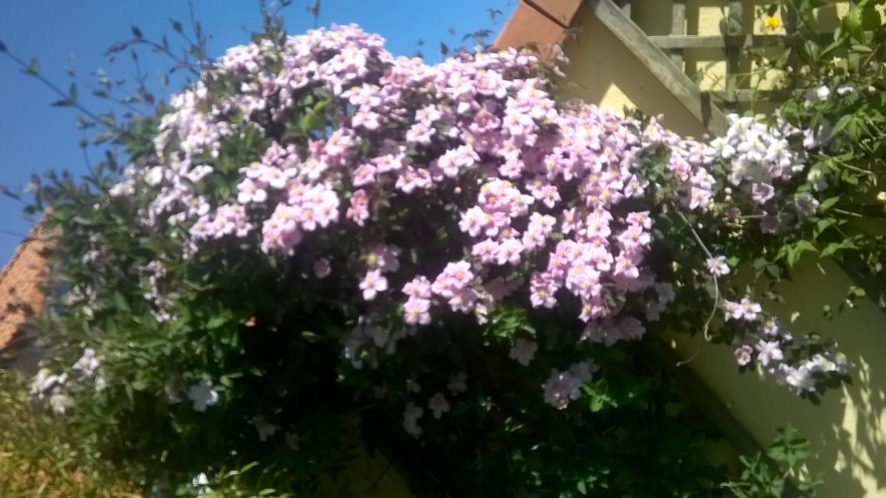 Wissant L'Opale Bed & Breakfast Екстериор снимка